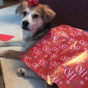 Meet your Posher, Rob